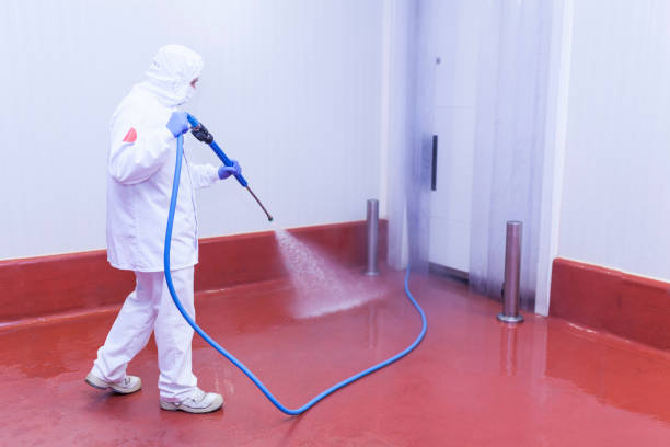 Best Solar Panel Cleaning  in Mila Doce, TX