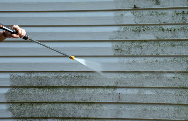 Best Sidewalk and Walkway Cleaning  in Mila Doce, TX