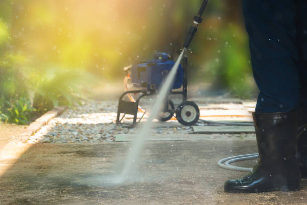 Best Gutter Cleaning  in Mila Doce, TX